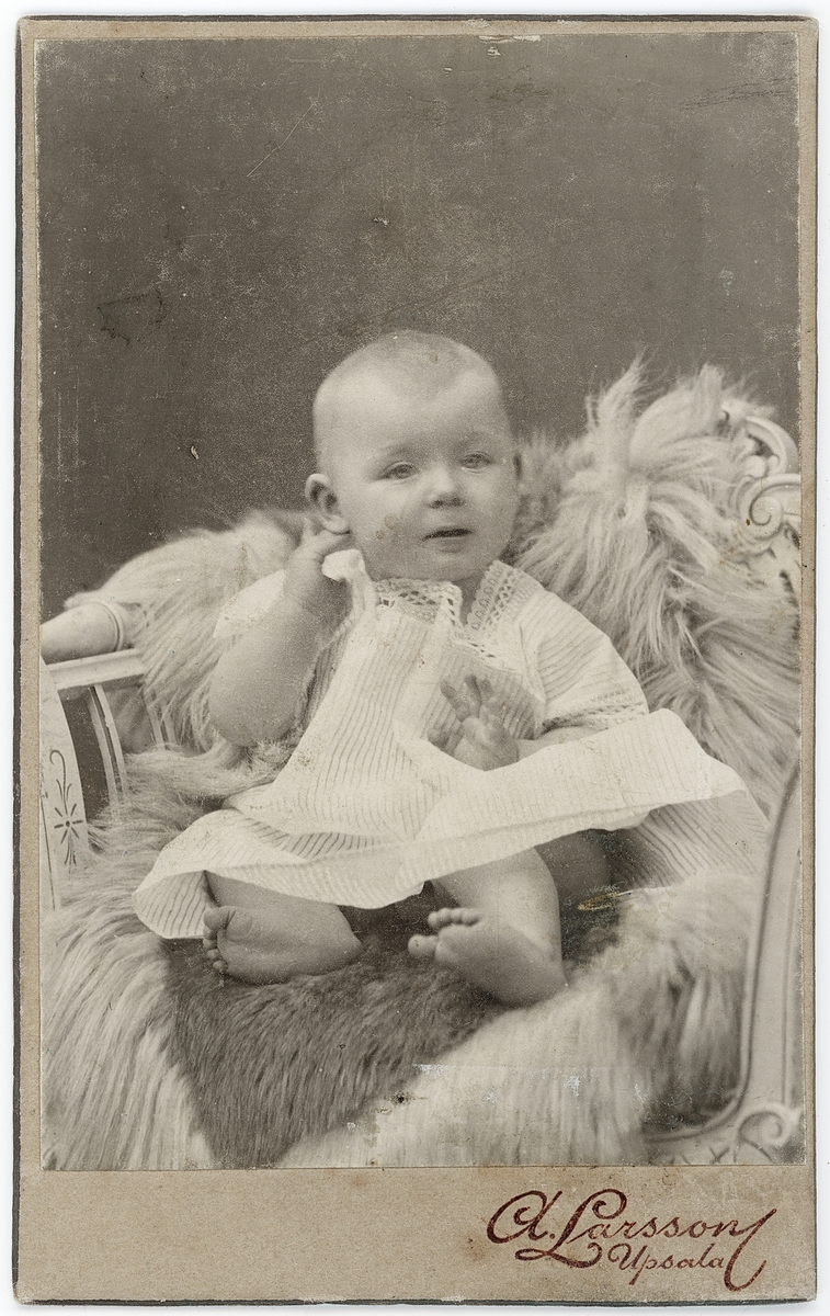 Kabinettsfotografi - litet barn på skinnfäll, Uppsala 1911