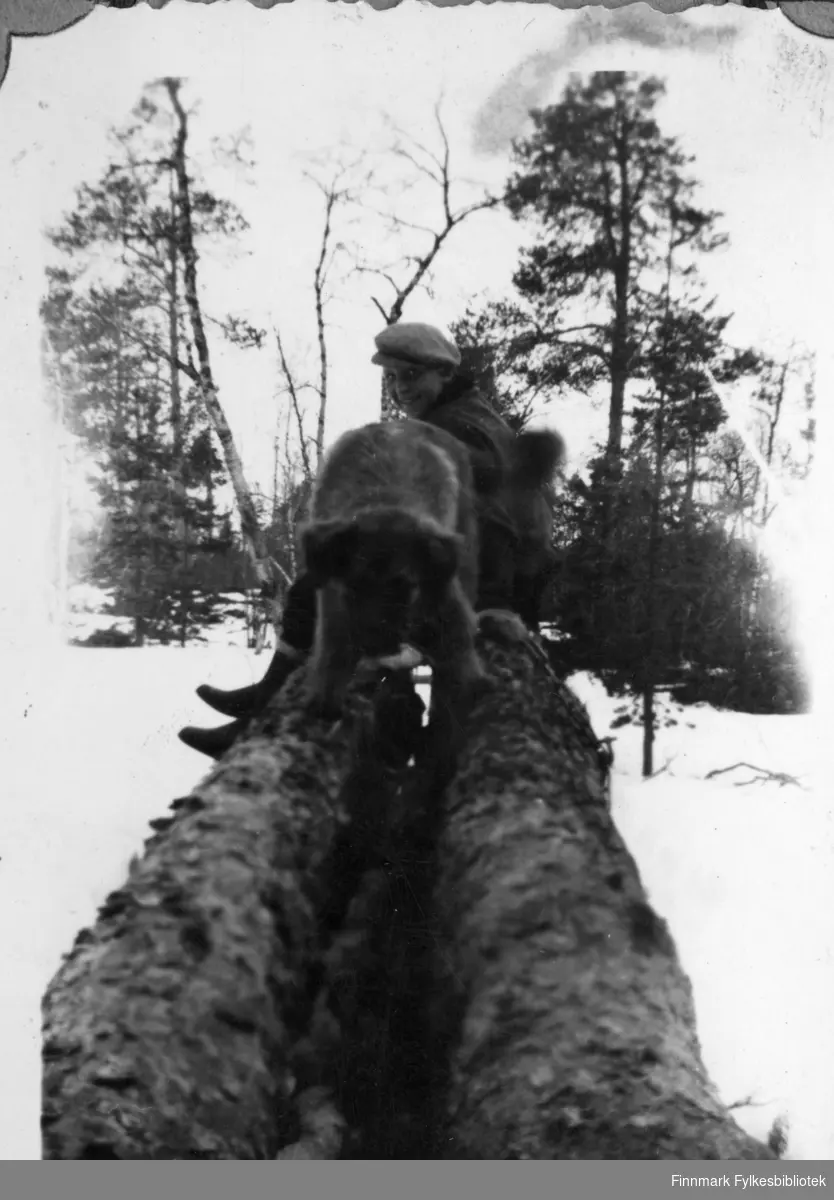 Svein Mortensen og hunden "Pluggen" på tømmerkjøring, 1947.