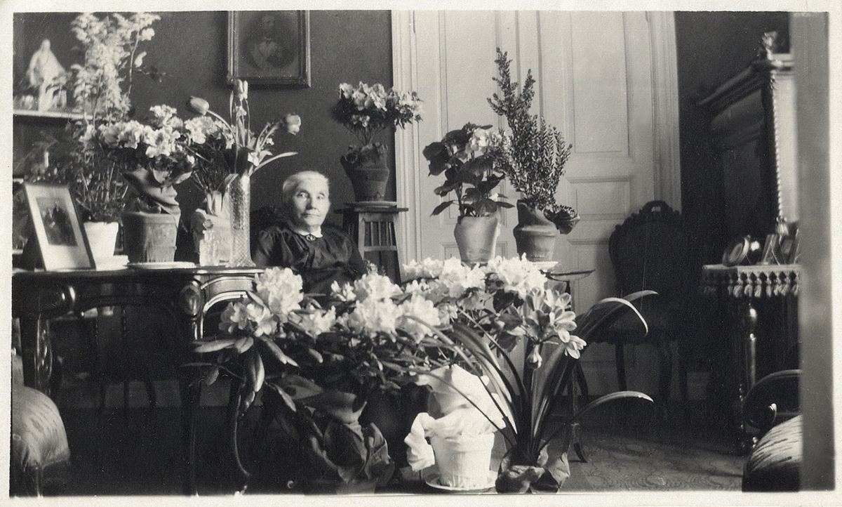 En äldre kvinna sitter omgiven av blommor i ett vardagsrum (kv. Adolf 2, Ystad).
På baksidan text: "Tant Agnes 70-årsdag. Foto: Mars 1924".