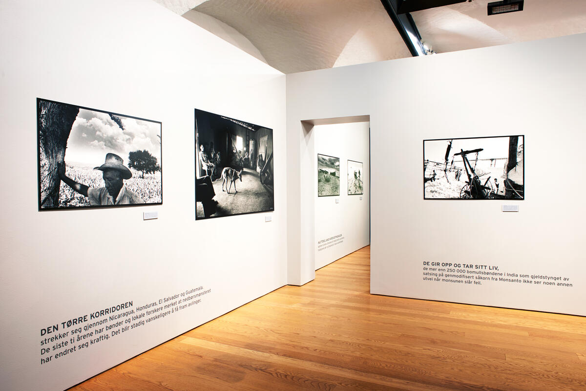 Bilde fra utstillingsrommet. Flere fotografier fra Rune Eraker henger på veggene.