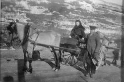 Hest og vogn, en kvinne sitter i vognen og en mann står ved 