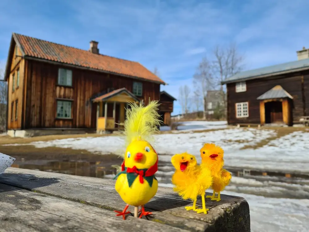 Tre pyntepåskekyllinger står på en benk med to gamle, brune tømmerhus i bakgrunnen.