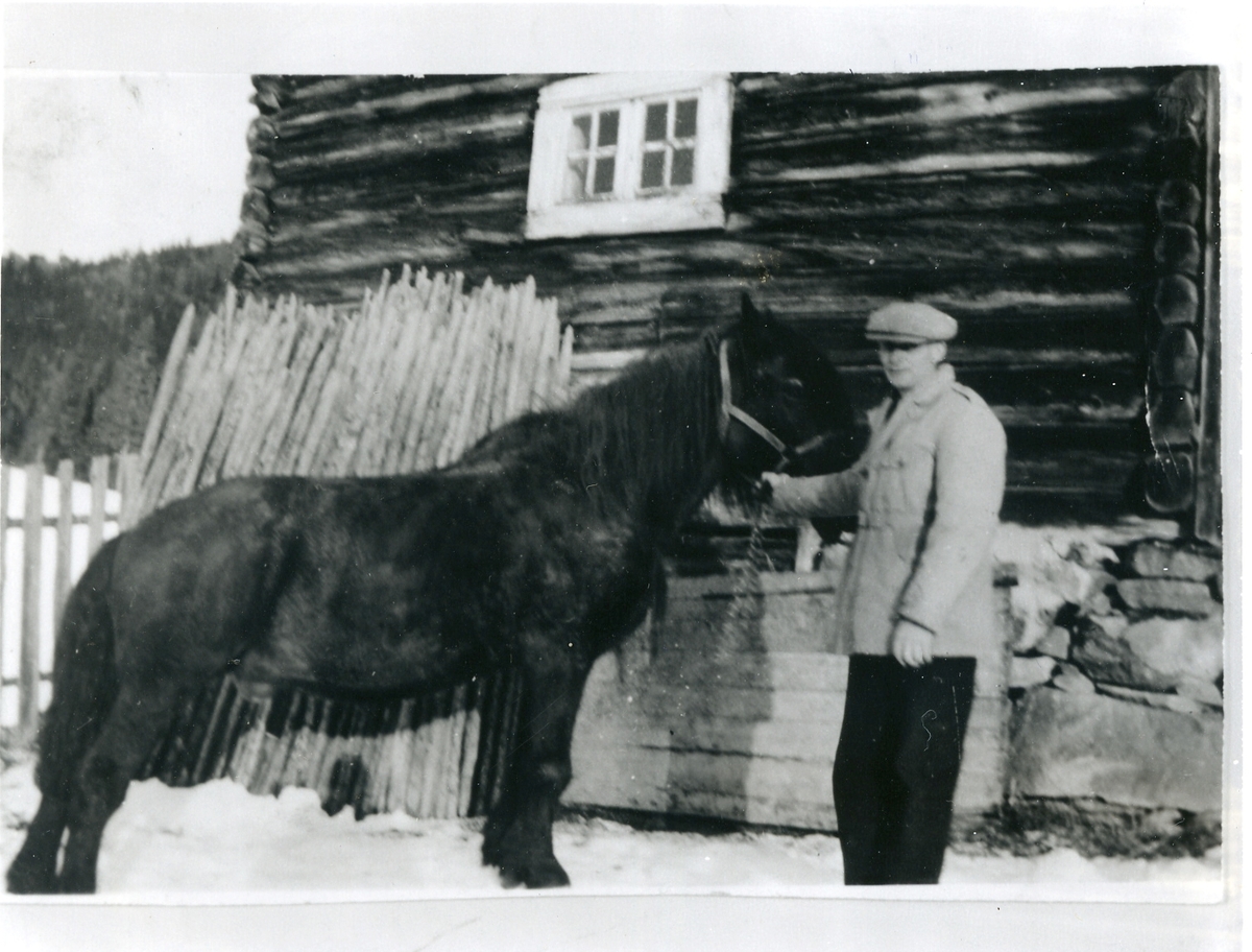 Even O. Solberg med hesten "Svarten"