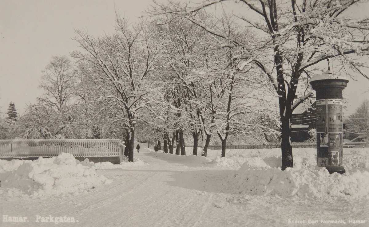 Postkort, Hamar, Parkgata - St. Olavs gate, vinterstemning, alle med trær,