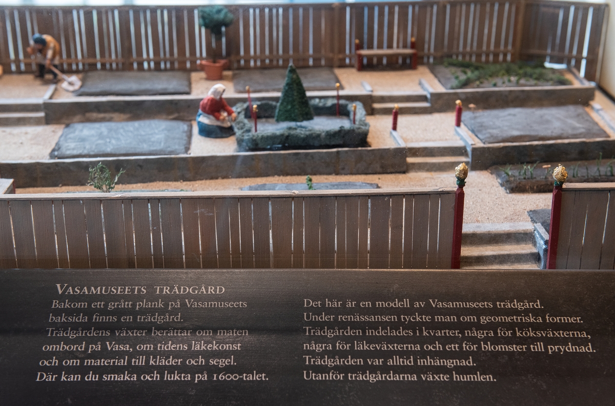  Utställning Vasas trädgård. 