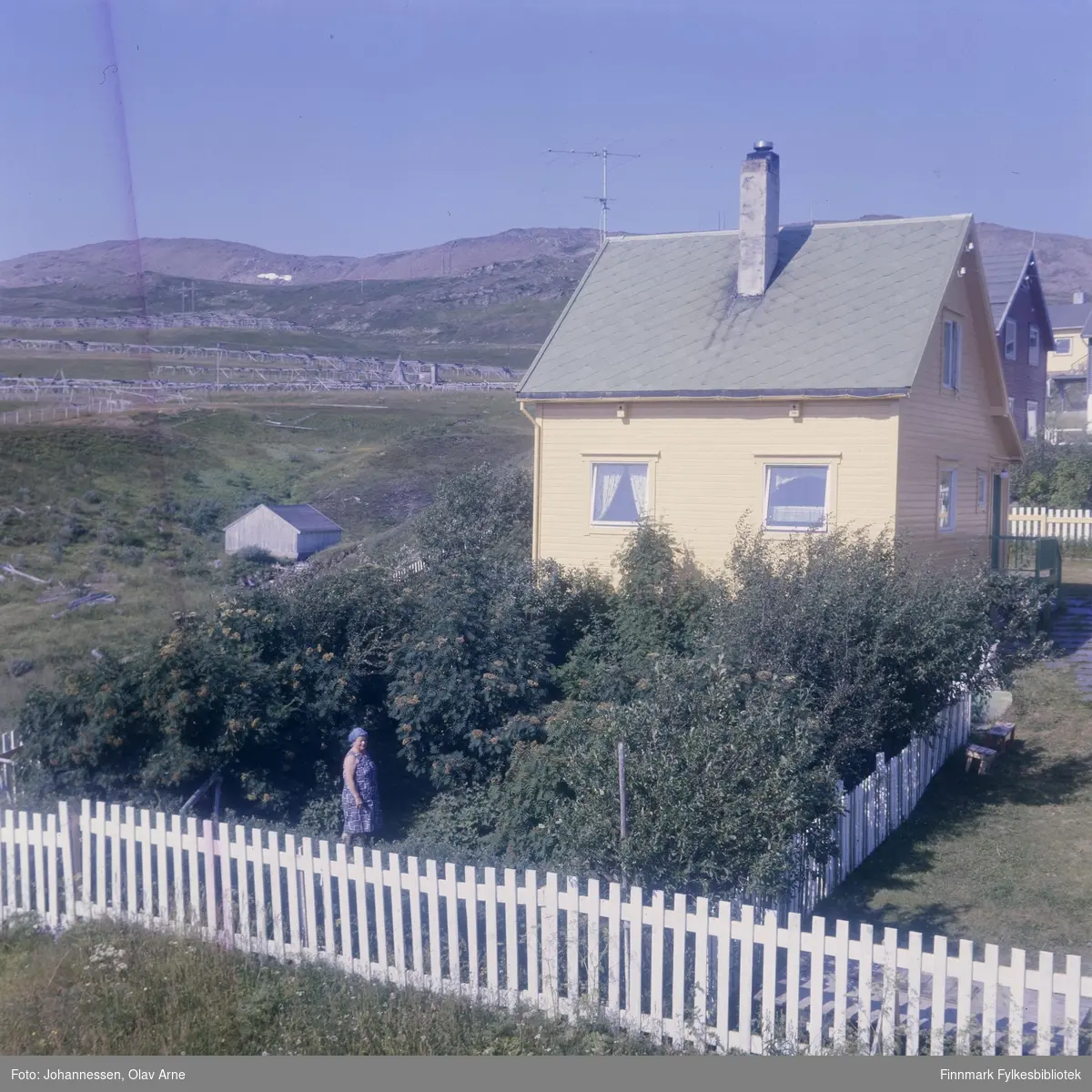 Foto av bolighus med hage i Fjellvegen i Båtsfjord (Finnmark)

Huset var eid av Svendsen familie på 1960/70-tallet

 En kvinne står blant trærne i hagen og i bakgrunnen kan man se fjell

Foto trolig tatt på 1960/70-tallet