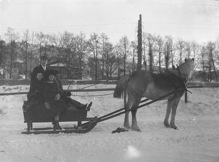 Familj som åker släde dragen av en häst.