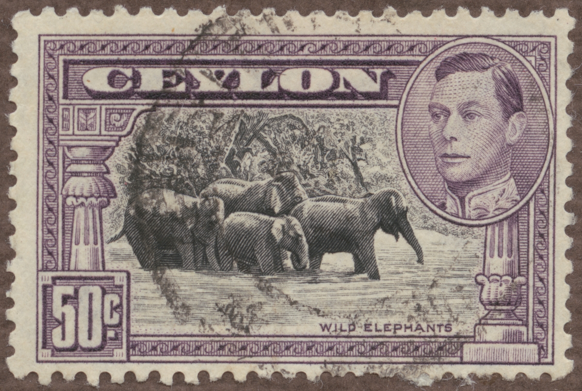 Frimärke ur Gösta Bodmans filatelistiska motivsamling, påbörjad 1950.
Frimärke från Ceylon, 1938. Motiv av Vilda elefanter badar (t.h.): Kung George VI-