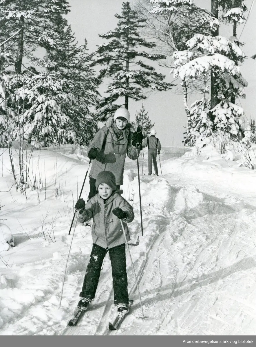 På skitur i Oslomarka. Foto Vidar Ruud. 4 januar 1983.