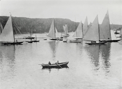 Seiling på Hankø juli 1915 i Onsøy.