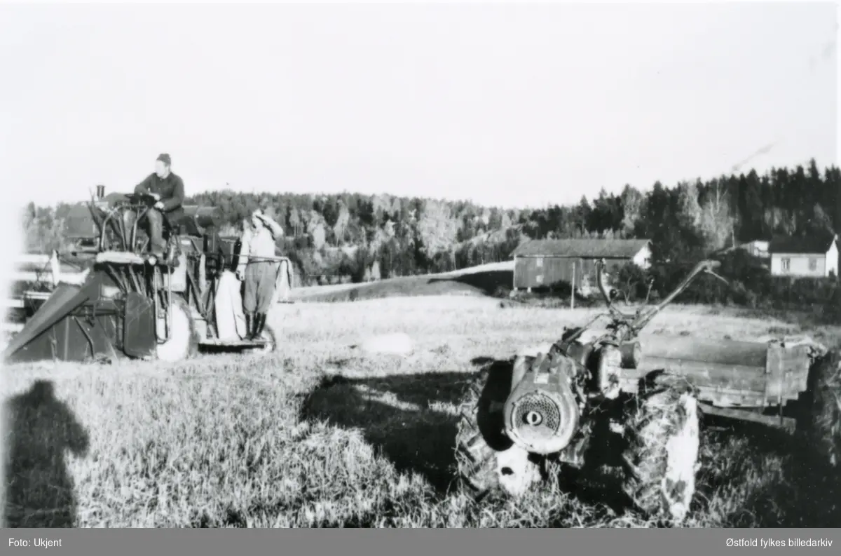 Skurtresker på Kindalen ca. 1954. Johan Mathiesen sitter på skurtreskeren og Øyvind Jacobsen står ved sekkene. Kindalen gård i bakgrunnen.
