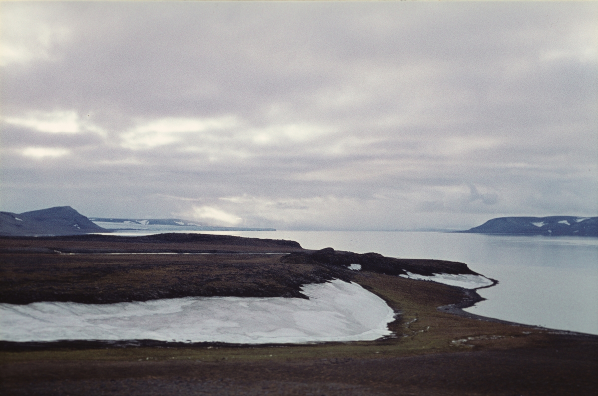 Barentsøya og Freemansundet i august 1960