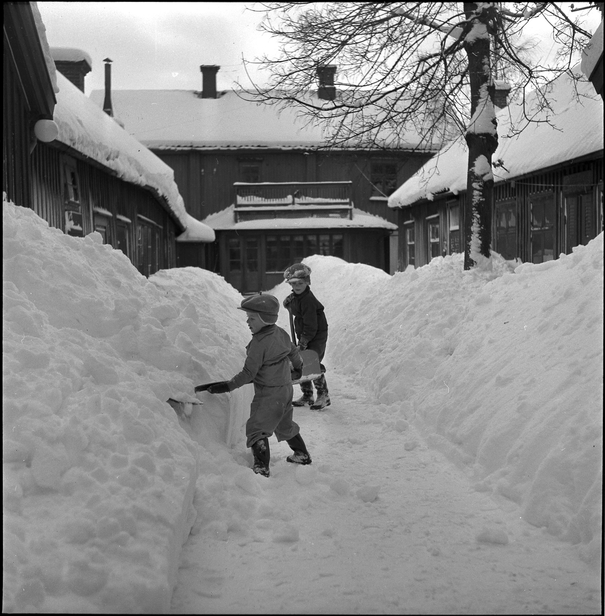 Två barn skottar snö på gården kv Hjorten 8, jan 1951.