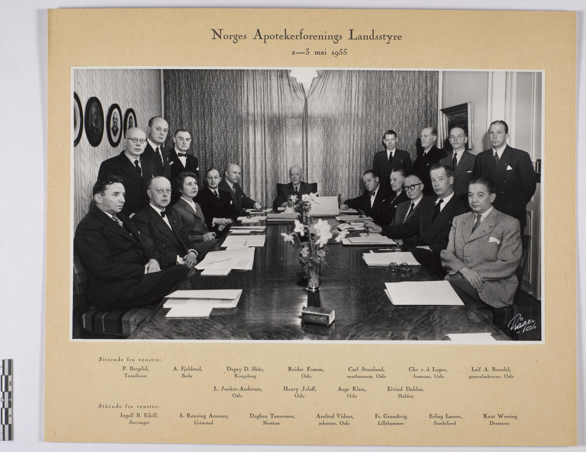 Norges Apotekerforenings Landsstyre, 2-3 mai 1955.