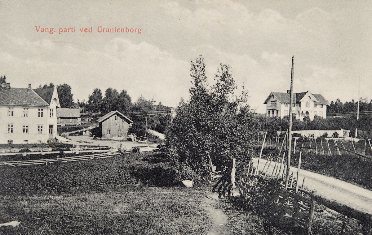 Postkort, Vang, Uranienborg, Kapp landhandel, butikk, Vang Handelsforening, Midtvang, ble stiftet ca. 1900 av Edvard Granrud. Parti fra Uranienborg,