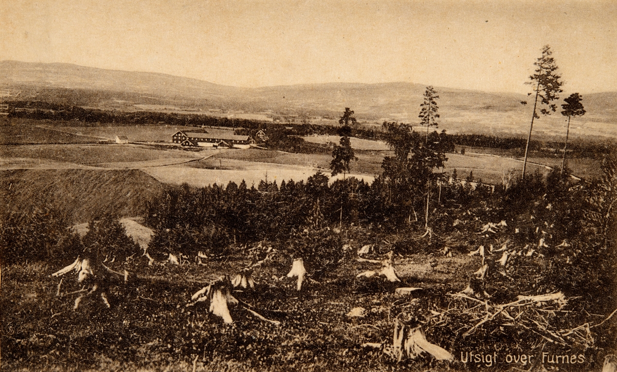 Postkort, Ringsaker, Furnes, kulturlandskap, Freberg gård, utsikt fra Frebergsberget, Frøberg,