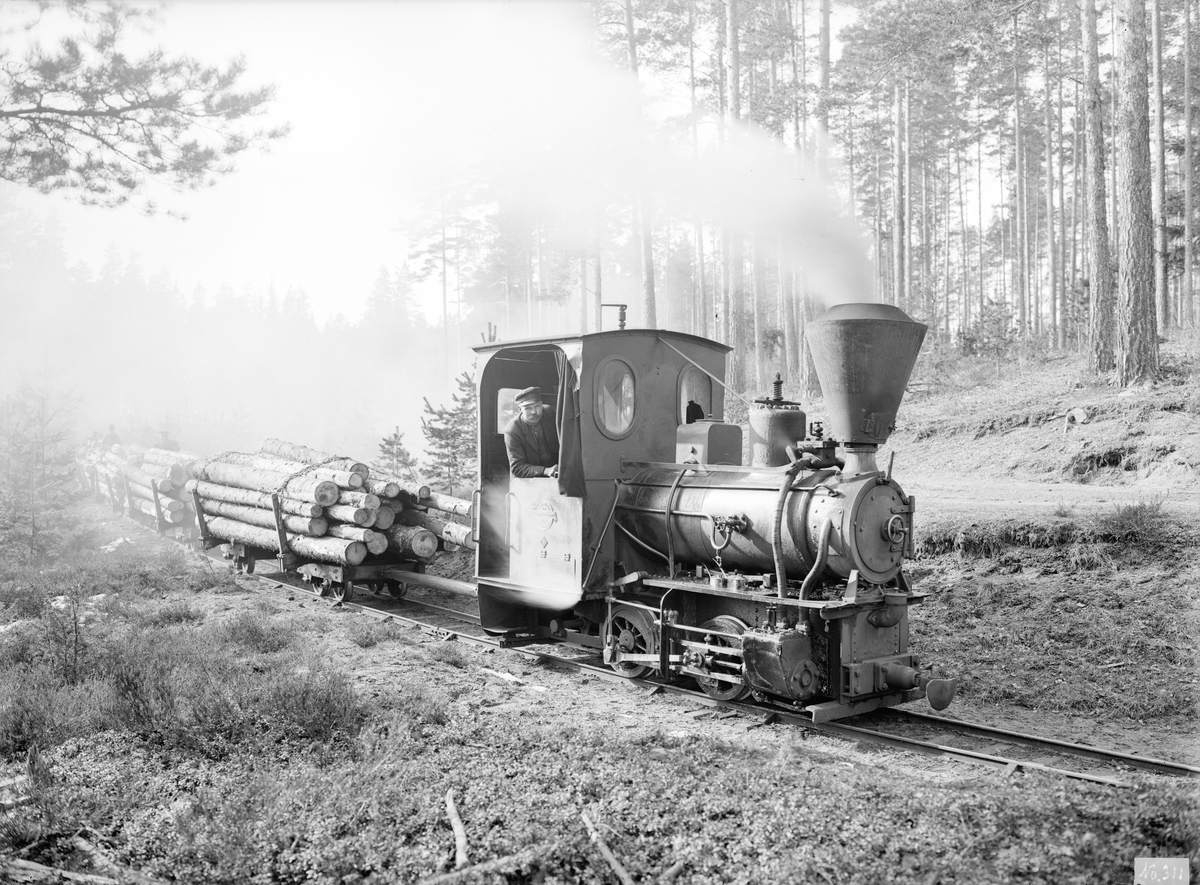 "Sot-Sara" bolmar fram genom skogen i höjd med Ålhult i Södra Vi. Järnbanan gav lättnad i det omfattade arbetet med timmer i trakten. Året är 1914.
