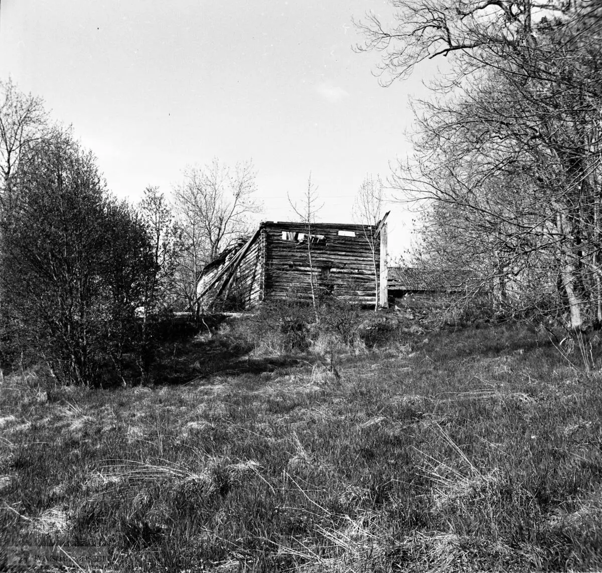 Fra Jonas Lied samlingen., I en kvittering fra Jonas Lied sitt arkiv står det datert at han betalte fotograf Birkeland 18 august 1961 for et oppdrag: en halv dags fotografering på Veøya 6. Mai samme år