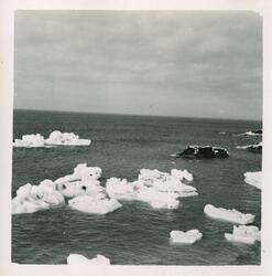 Emmaholmane. Overvintring på Bjørnøya 1957-58.