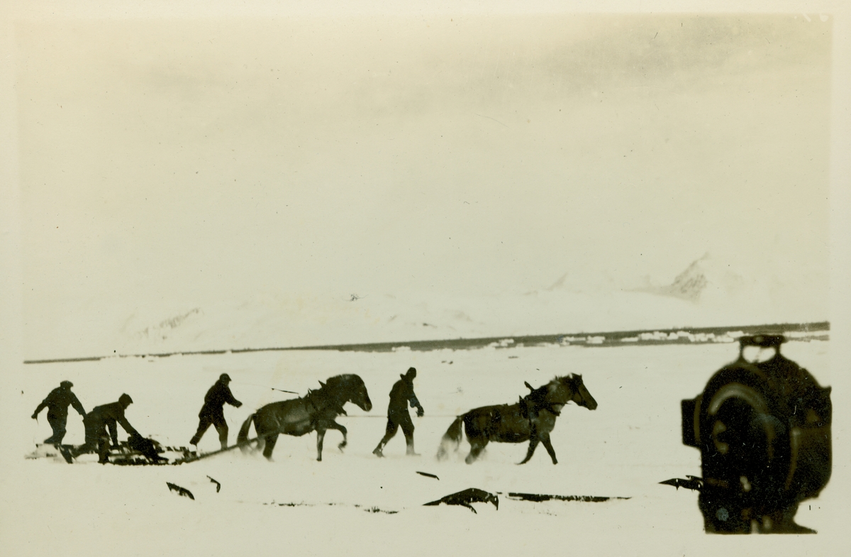 Arbeidere kjører små hestelass.Norge's Polflyvning 1926 fra Norsk Luftselladsforening. Gjenstandsnummer SVB 1837