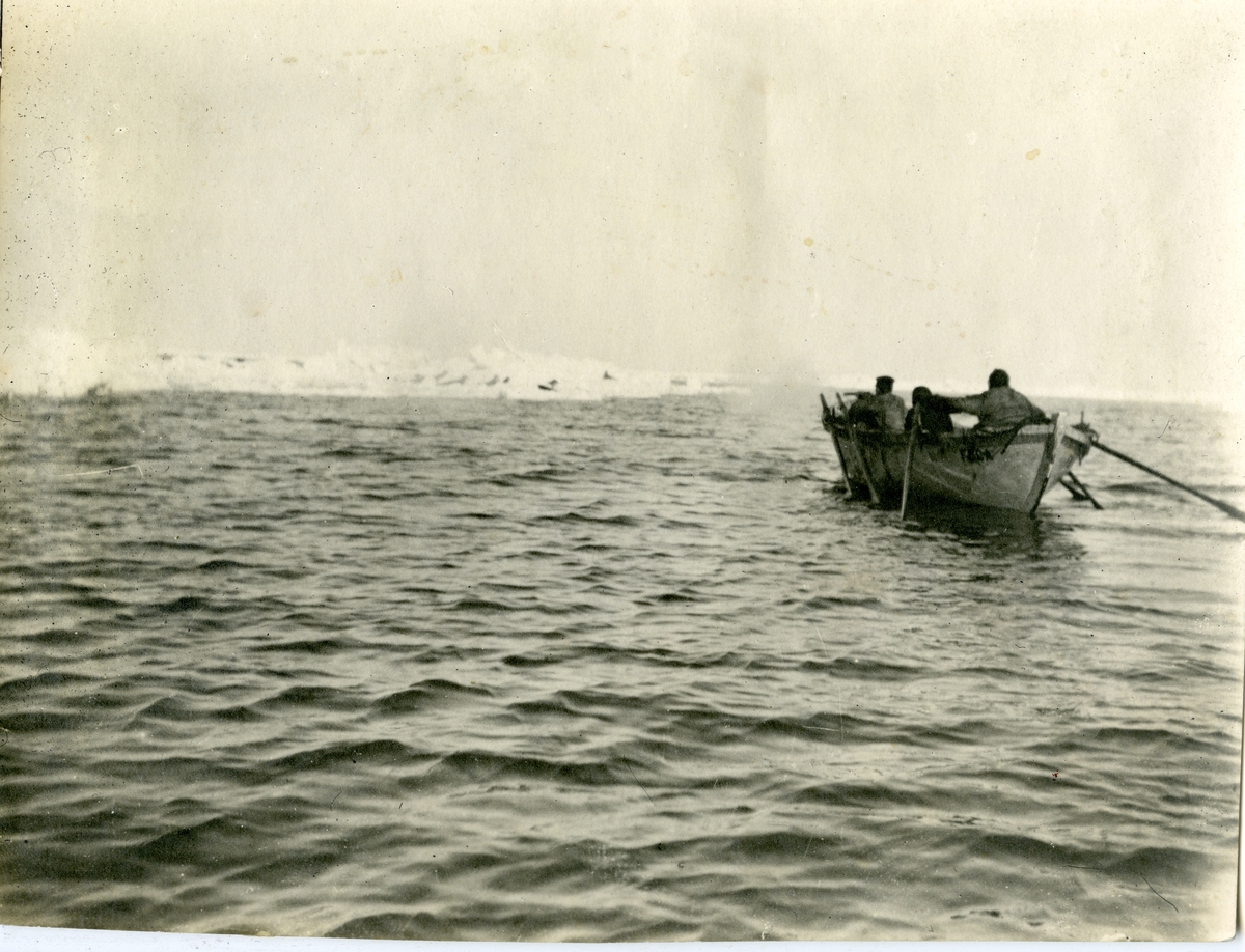 Fotografier tatt av Waldemar Kræmer(1884-1947).  Fangst av sel i åpen is.
