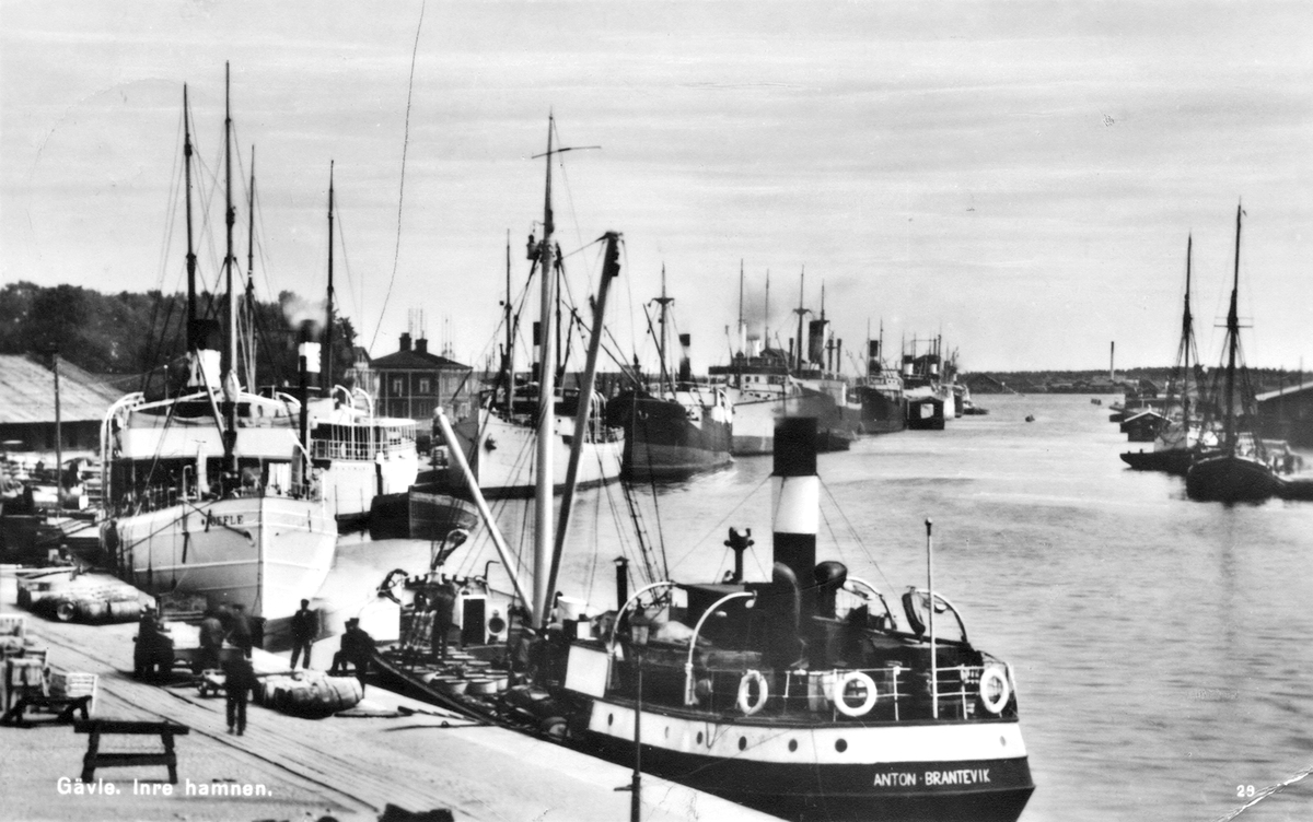 Gävle. Inre hamnen. Ångbåten "Anton Brantevik".