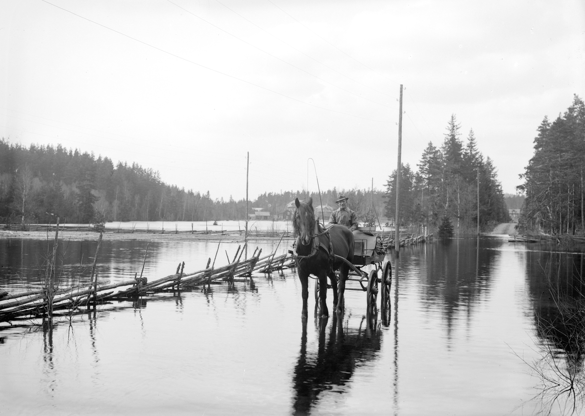 Vansklig färd utmed Bulsjöån. Våren 1928 svämmade vattendraget över i sällan skådat slag. Den djärve kuskens namn är oss obekant.
