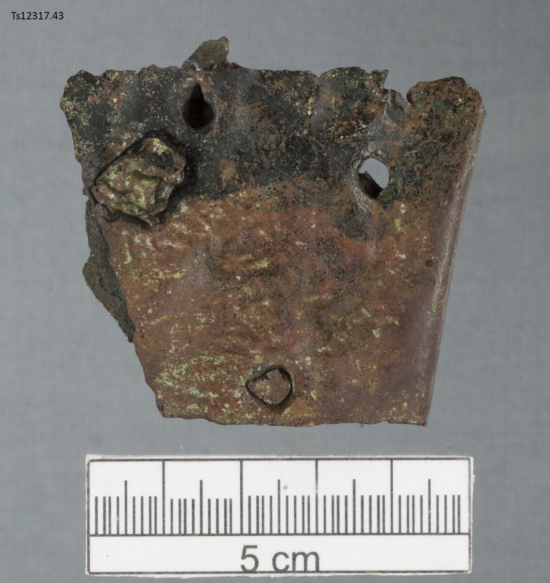 Bronseblikk, sammenfoldet remse med fire bronseniter og to hull, ca 0,5 cm diam. hvor nitene mangler.