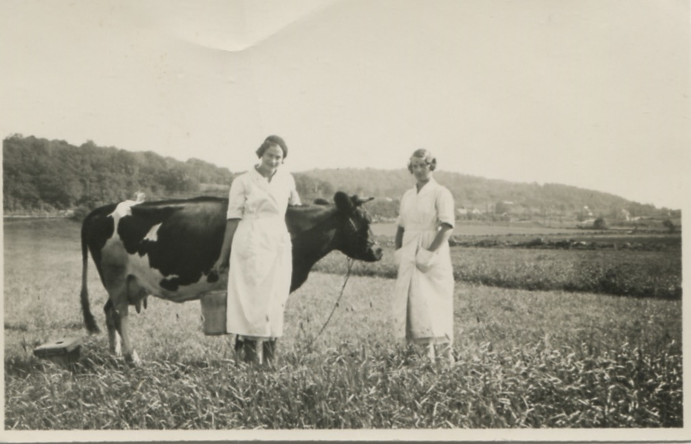 Systrarna Astrid (1907 - 1994, gift Jägerström) och Ingeborg Gustafsson (1901 - 1987, gift Johansson) står tillsammans på åkern vid en ko, Kållered Stom "Nygård", okänt årtal. Deras föräldrar ägde gården.