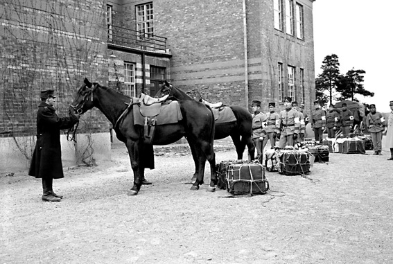 Militärer vid hästar med sadel och packning.