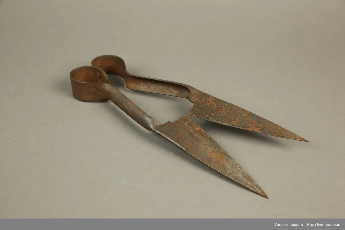 Saks for å klippe sauer. Saksa er laget av to stykker fjærende stål skrudd fast i hverandre. Noe rust, særlig på saksebladene.
