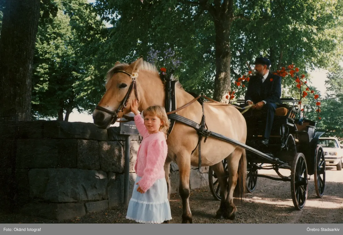 Häst och vagn