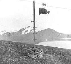 Provisorisk taubane i Grønfjorden. Bak til venstre sees star