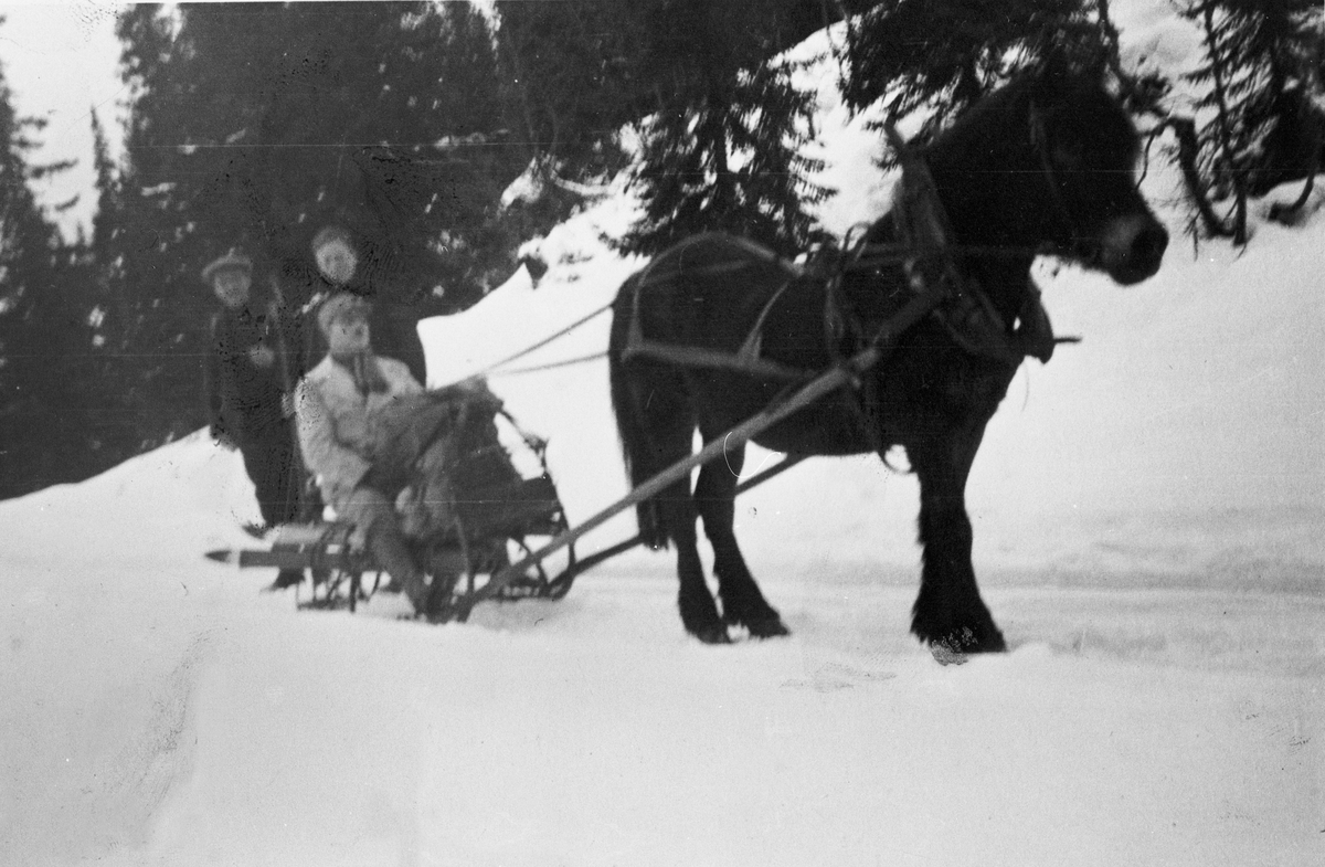 Hesten Prinsa med spisslede, på Lundestaen, Bøle omkring 1930. En ukjent mann på sleden. Bak ham Gulbrand G. Båsen og skysskar Gunnar Brand. 