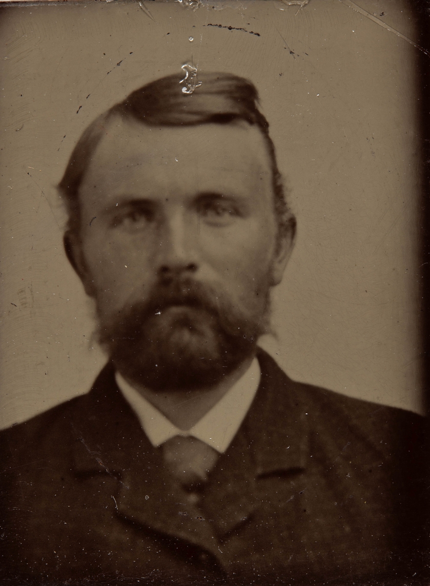 Portrett av mann med skjegg.