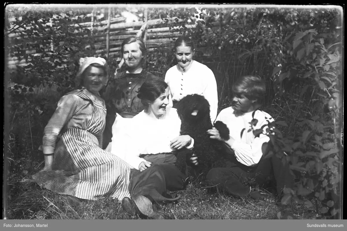 Syskonen Sigrid Persson, Märta Johansson och, längst till höger, Ernst Johansson samt i mitten Laura Lindblom-Ljunglöv, Norrfjolsta, med en hund. Kvinnan längtst bak till höger är oidentifierad.