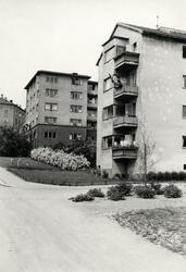 Iladalen. Blokkbebyggelse fra 1930-tallet. 1950..