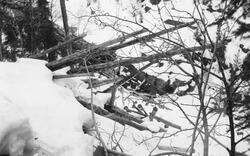 Tømmer som er veltet utfor en bratt snødekt skråning mot et 