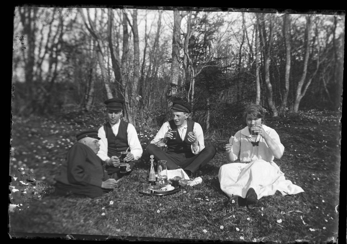 Tre män och en kvinna på picknick bland vitsippor. Längst till höger, Julia Westergren.