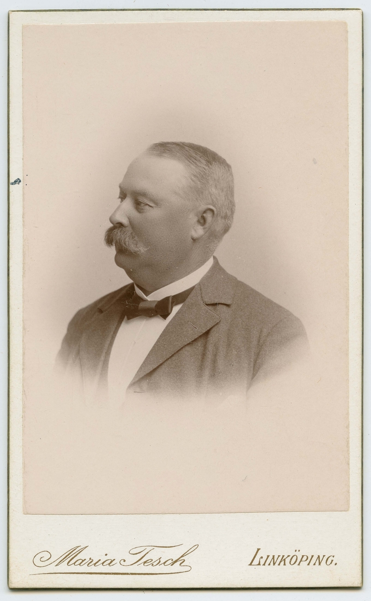 Porträtt på godsägare Adolf Kernell Bellsjö, Västervik