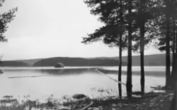 Lense ved Halåas utløp i Halsjøen på svensk side av riksgren