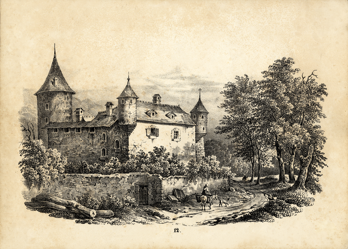 Skiss, blyerts. Ett litet slott bakom en mur, någonstans i södra Tyskland (?). 

Inskrivet i huvudbok 1950.