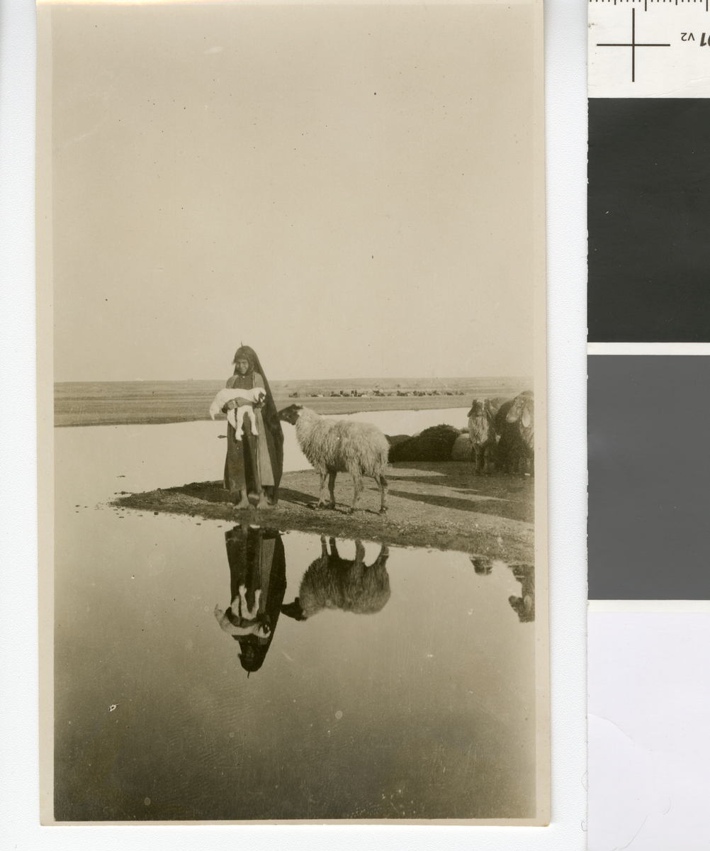 Jente med sauer ved Eufrats bredde. Fotografi tatt/ samlet i forbindelse med Elisabeth Meyers bok; En Kvinnes Ferd til Persia.