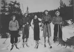 Ungdomslagstur til Grågalten i 1938. Fra venstre: Mathilde S
