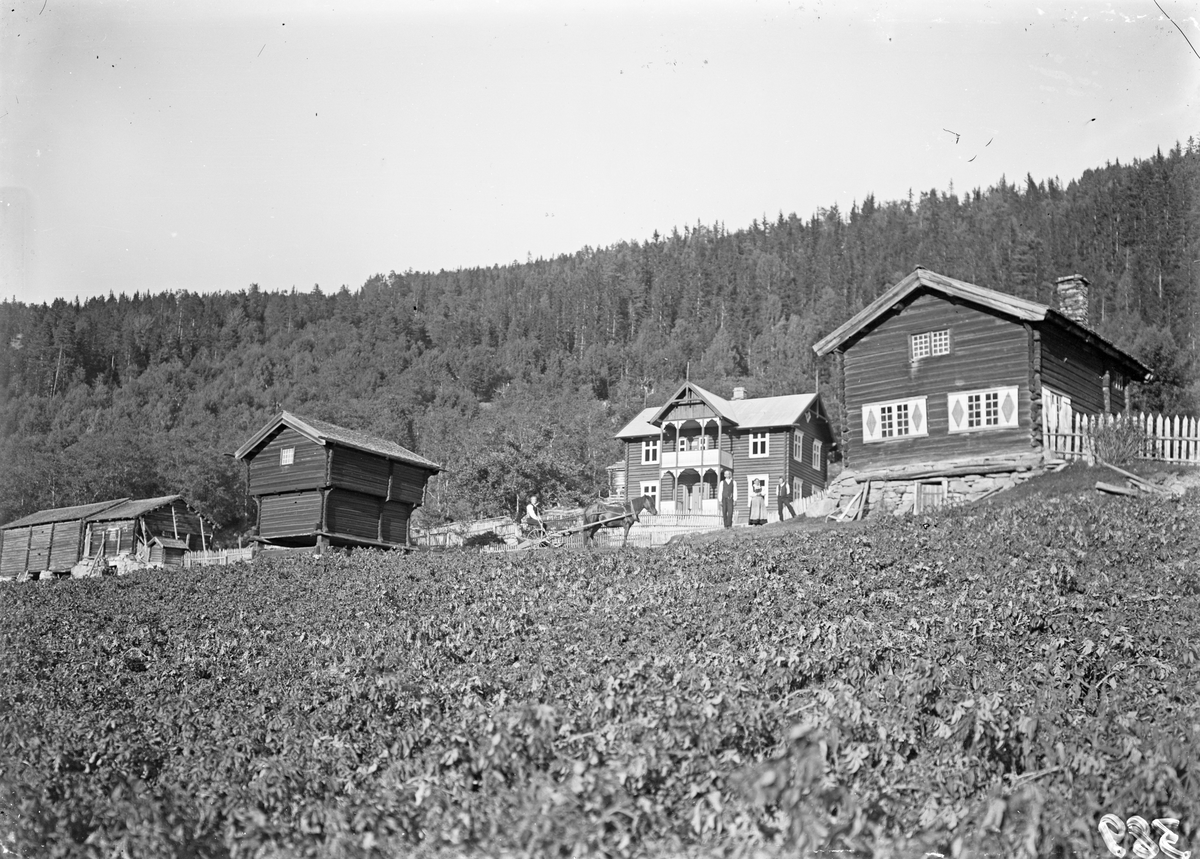 Bilde viser Nord Vålund med Vålundstua, som står på Tinn Museum

Fotosamling etter Øystein O. Jonsjords (1895-1968), Tinn