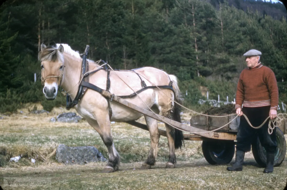 "Bilder vist på Reiten slektstemne 01.08.1987"."Bestefar (Kr. reiten) med hesten)"