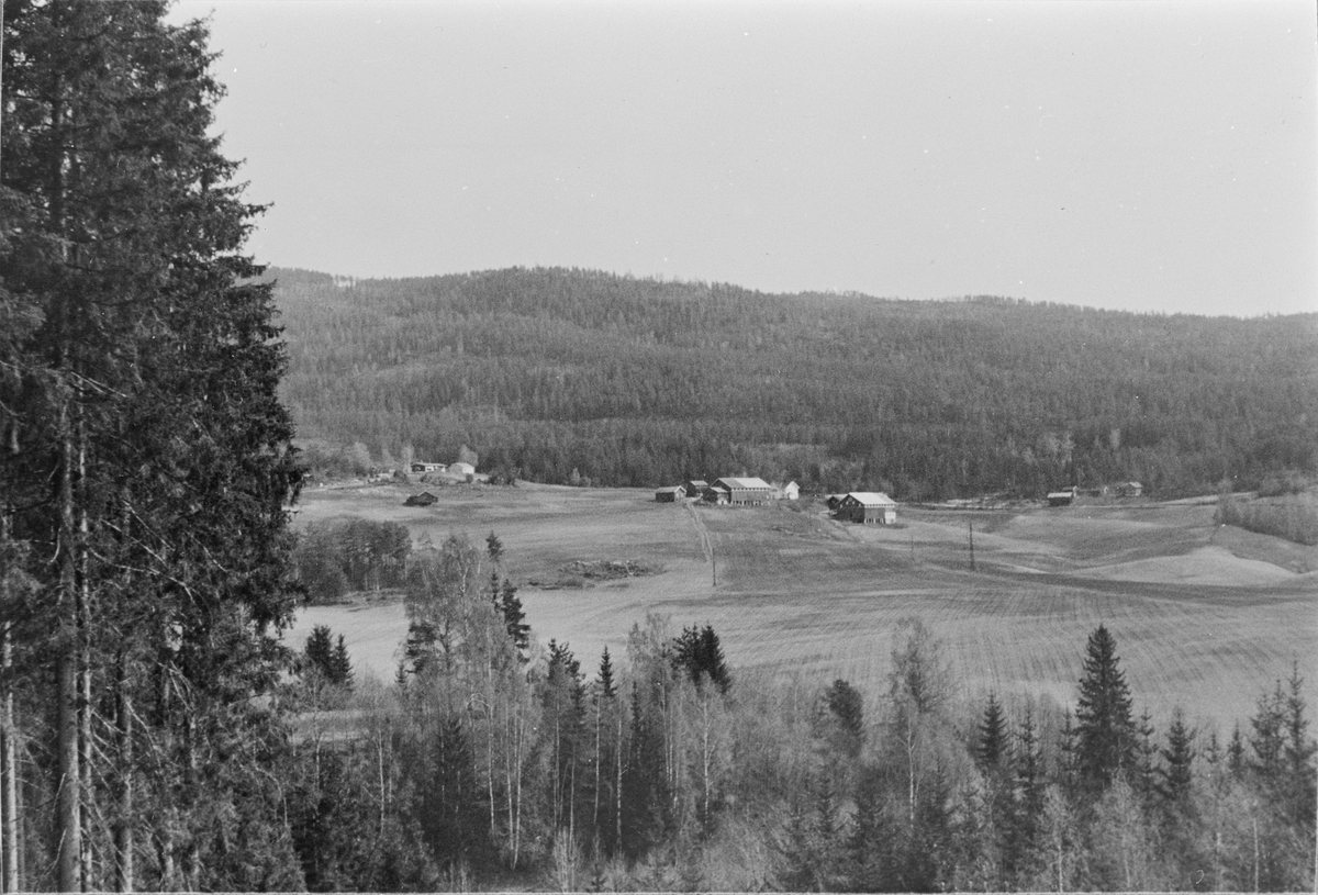 Hundstadroa, sett fra vestsiden nord for Storbråtan, foto tatt i 1979.