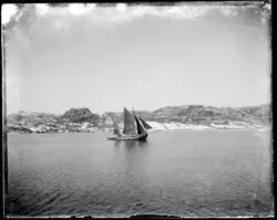 Seilbåter i fjord