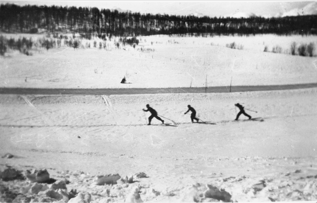 Tre gutter på ski i Reinås, Skånland.