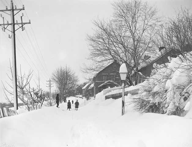 Prot: Vintervei i Trangvik Drammen Jan.1902